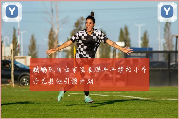 鹈鹕队自由市场表现平平续约小乔丹无其他引援计划