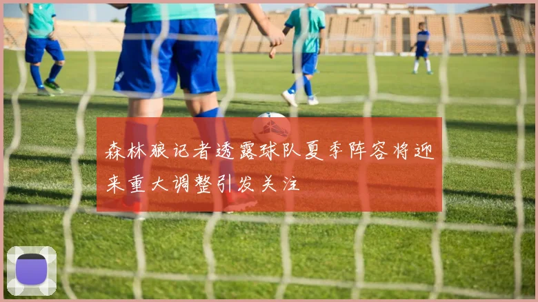 森林狼记者透露球队夏季阵容将迎来重大调整引发关注